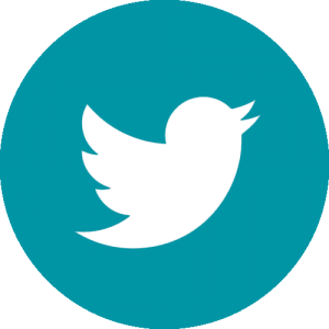 icono twitter