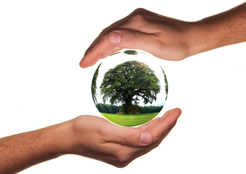 Cuidado del medio ambiente