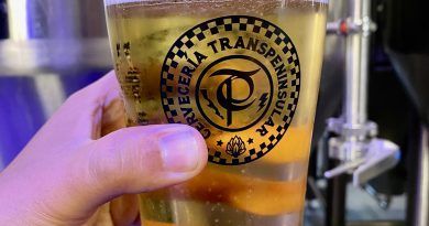 cerveza artesanal