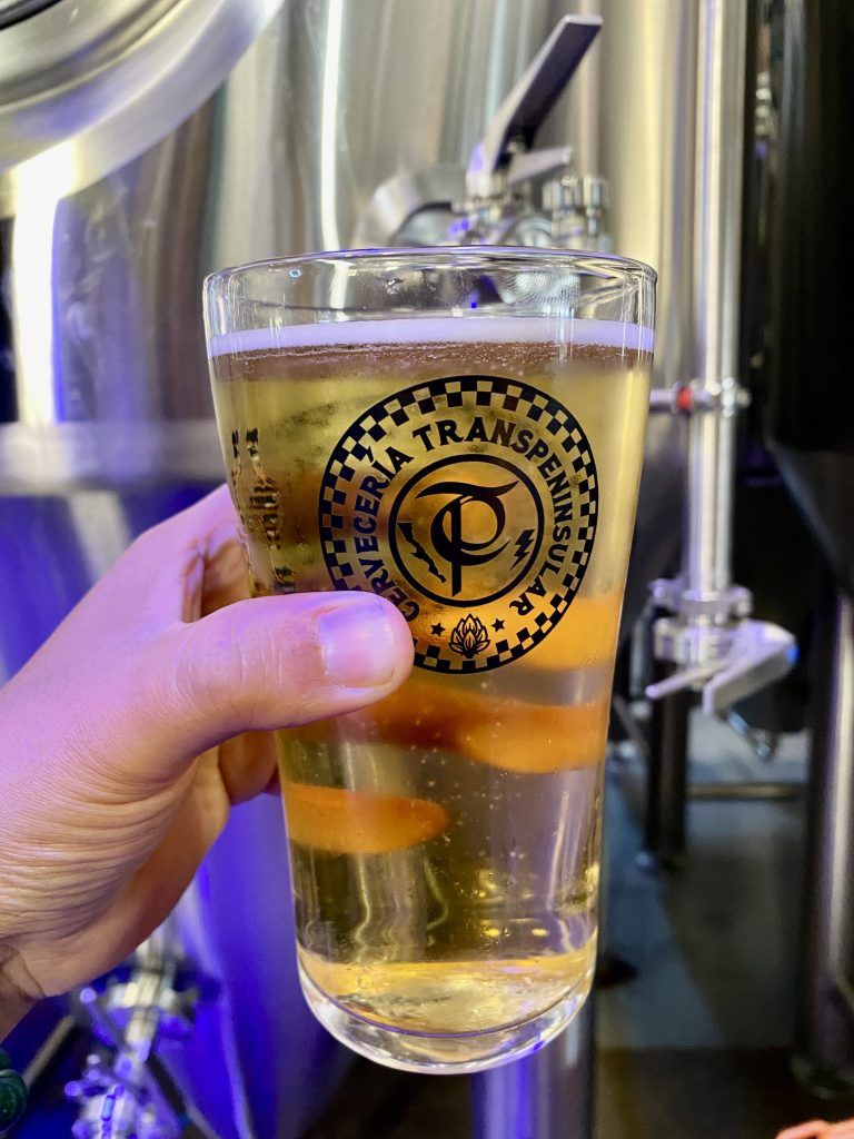 cerveza artesanal