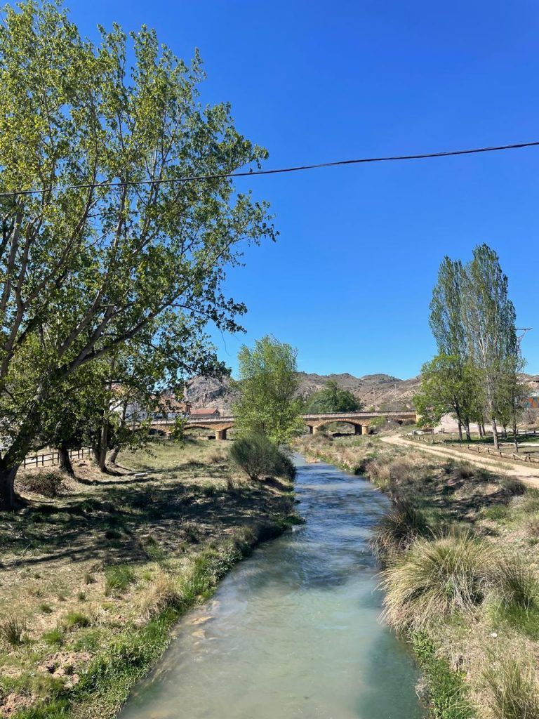 Olite, donde se ecuentra la conservera de Apadrina un olivo