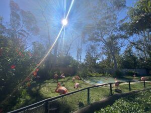 San Diego Zoo