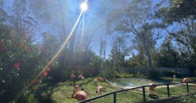 San Diego Zoo