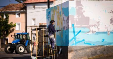 Mujeres Artistas Rurales