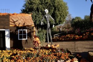 Halloween en la Ruta del Maíz