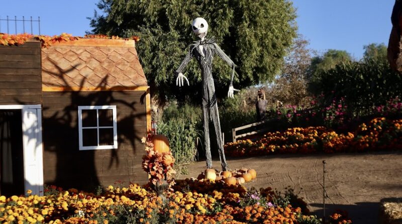 Halloween en la Ruta del Maíz