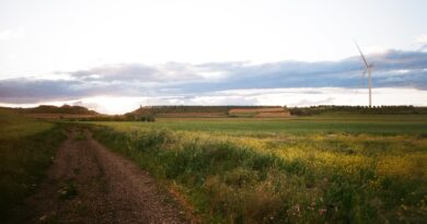 Paisaje de un pueblo aragonés.