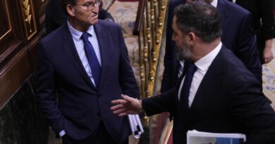 Feijóo y Abascal, en el Congreso de los Diputados // El Mundo
