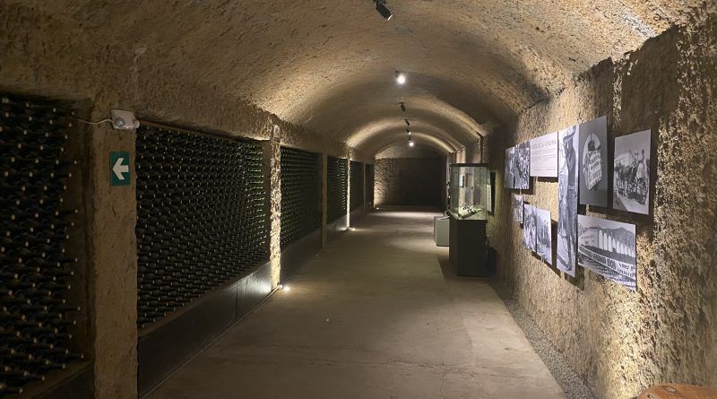Museo Domecq