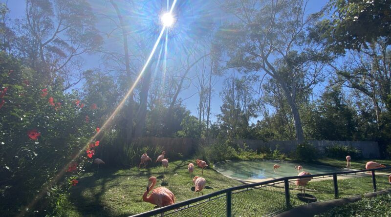 San Diego Zoo