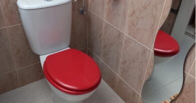 Tapa del wáter roja