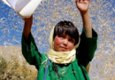 Delitos y Cine. Fotogramas de resistencia: Irán